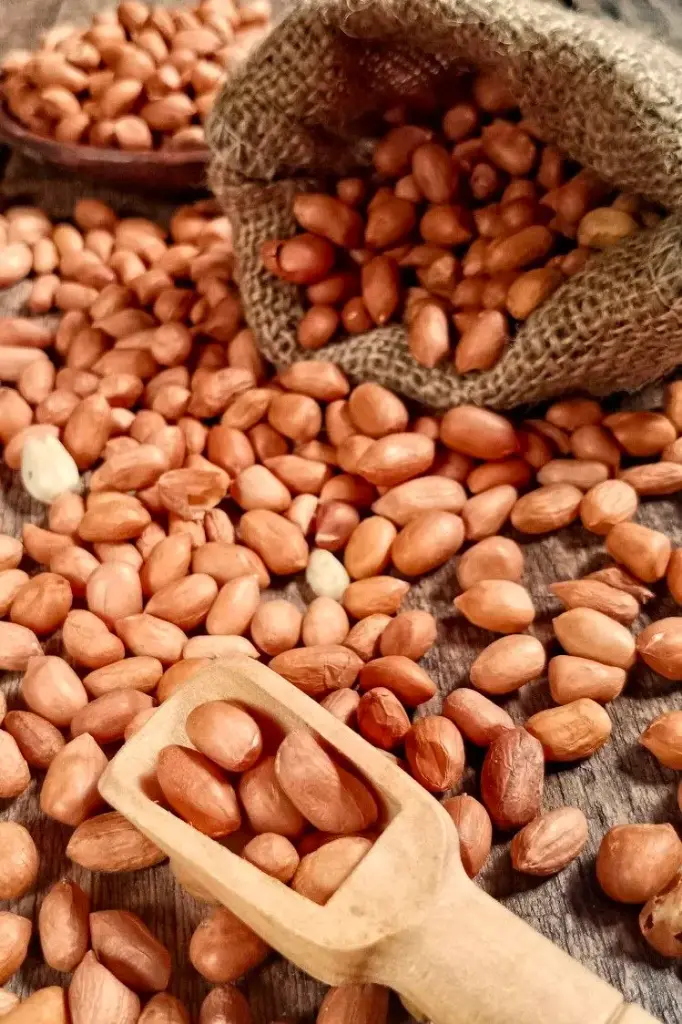 పల్లీలు/Ground nuts