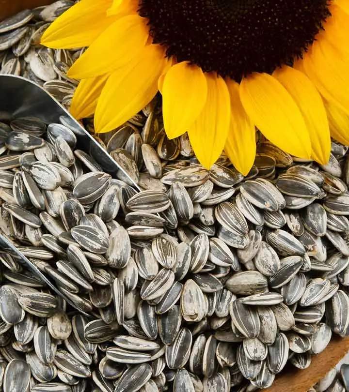 Sunflower seeds / సూర్యకాంతి గింజలు (100Gram)