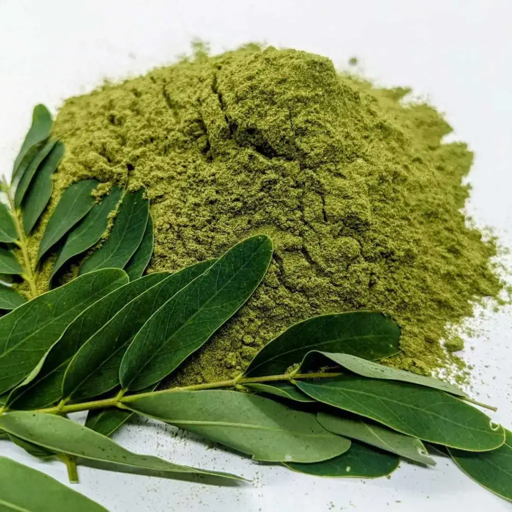 Moringa Powder / మునగ పౌడర్